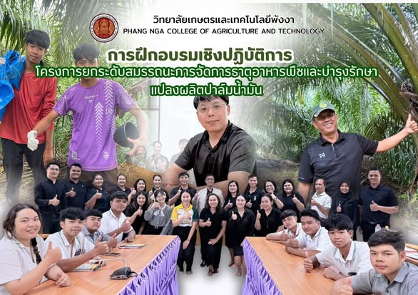 วิทยาลัยเกษตรและเทคโนโลยีพังงา จัดฝึกอบรมเชิงปฏิบัติการ ยกระดับสมรรถนะการจัดการธาตุอาหารพืชและบำรุงรักษาแปลงผลิตปาล์มน้ำมัน
